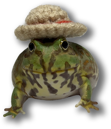 Frog with hat
