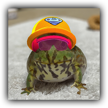 Frog 1