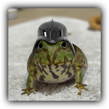 Frog 10