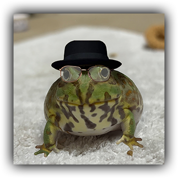 Frog 14