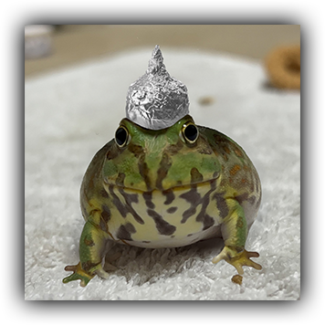 Frog 15