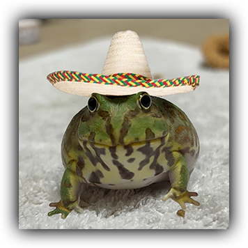Frog 2