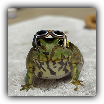 Frog 21