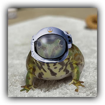 Frog 22