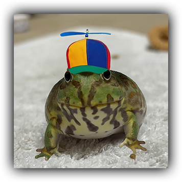 Frog 3