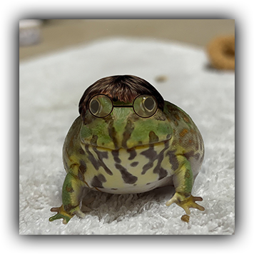 Frog 4