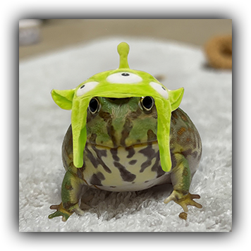 Frog 6